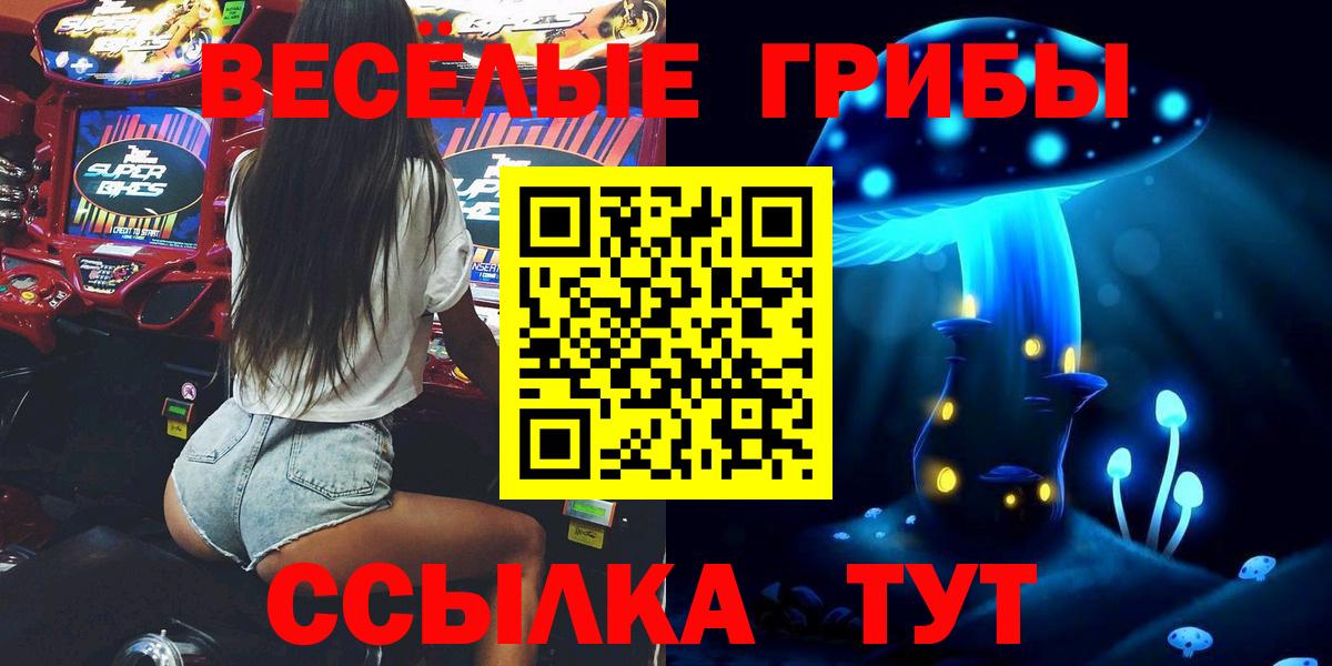 Галлюциногенные грибы MAGIC MUSHROOMS  Псилоцибиновые грибы Psilocybine cubensis  Вход с VPN  Зима 
