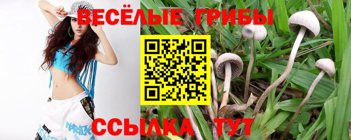 Галлюциногенные грибы мицелий Зима